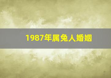 1987年属兔人婚姻