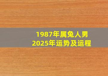 1987年属兔人男2025年运势及运程