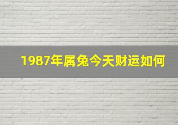 1987年属兔今天财运如何