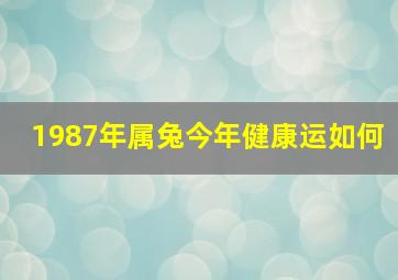 1987年属兔今年健康运如何