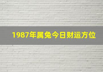 1987年属兔今日财运方位