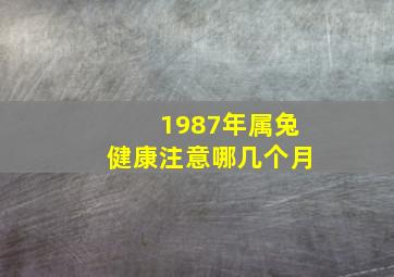 1987年属兔健康注意哪几个月