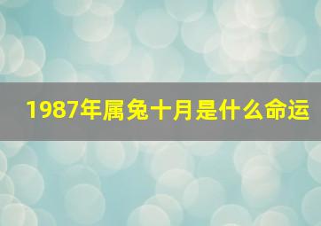 1987年属兔十月是什么命运