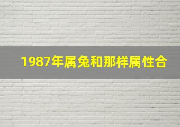 1987年属兔和那样属性合