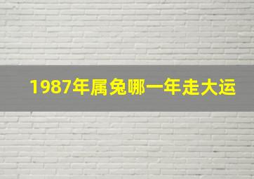 1987年属兔哪一年走大运