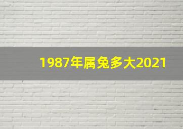 1987年属兔多大2021