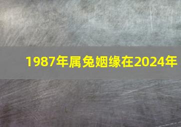 1987年属兔姻缘在2024年