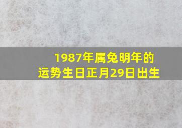 1987年属兔明年的运势生日正月29日出生