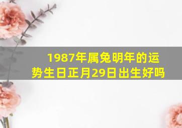 1987年属兔明年的运势生日正月29日出生好吗