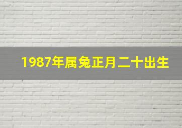 1987年属兔正月二十出生