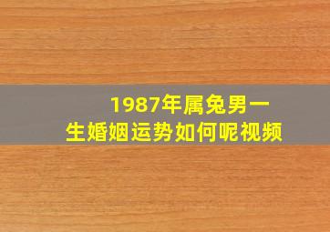 1987年属兔男一生婚姻运势如何呢视频