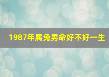 1987年属兔男命好不好一生