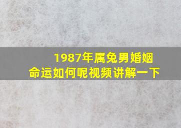 1987年属兔男婚姻命运如何呢视频讲解一下