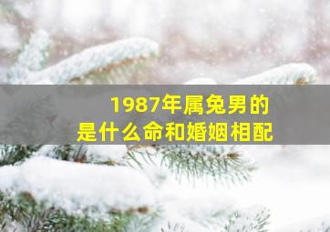 1987年属兔男的是什么命和婚姻相配