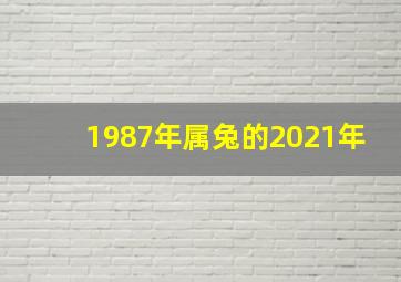 1987年属兔的2021年