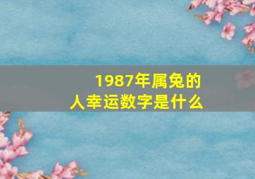 1987年属兔的人幸运数字是什么