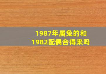 1987年属兔的和1982配偶合得来吗