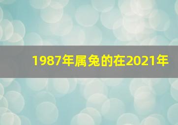 1987年属兔的在2021年