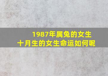 1987年属兔的女生十月生的女生命运如何呢