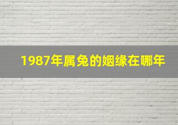 1987年属兔的姻缘在哪年