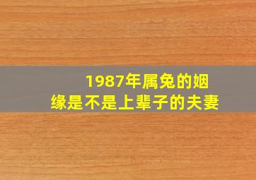 1987年属兔的姻缘是不是上辈子的夫妻