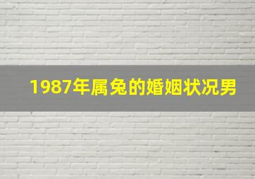 1987年属兔的婚姻状况男