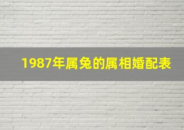 1987年属兔的属相婚配表