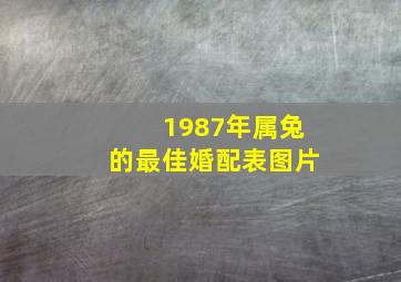 1987年属兔的最佳婚配表图片