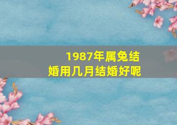 1987年属兔结婚用几月结婚好呢