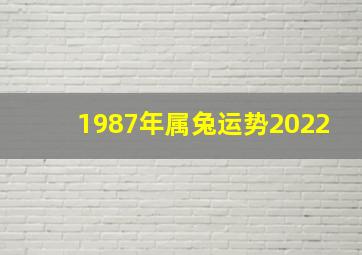 1987年属兔运势2022