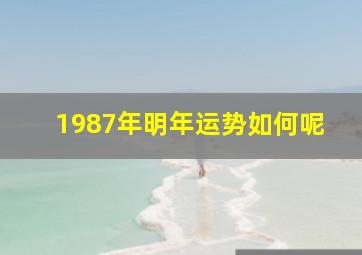 1987年明年运势如何呢