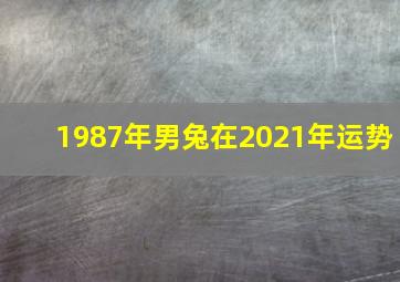 1987年男兔在2021年运势