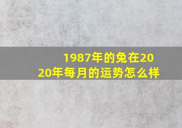 1987年的兔在2020年每月的运势怎么样