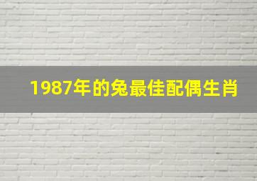 1987年的兔最佳配偶生肖