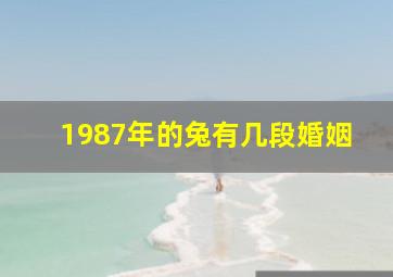 1987年的兔有几段婚姻