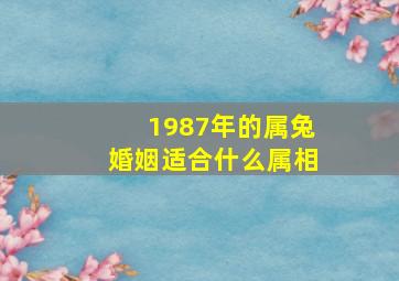 1987年的属兔婚姻适合什么属相