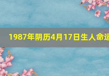 1987年阴历4月17日生人命运