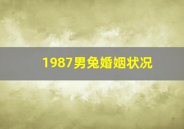 1987男兔婚姻状况