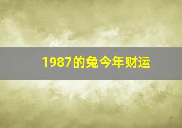 1987的兔今年财运