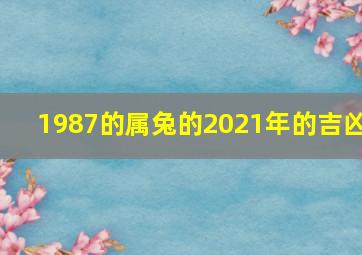 1987的属兔的2021年的吉凶