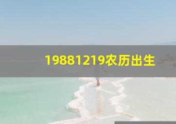 19881219农历出生