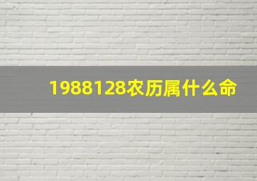 1988128农历属什么命