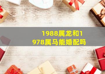 1988属龙和1978属马能婚配吗