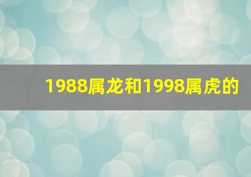 1988属龙和1998属虎的