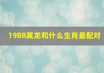 1988属龙和什么生肖最配对