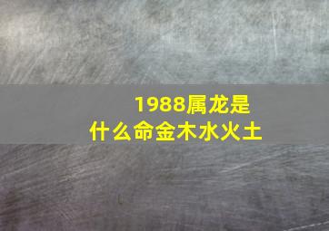 1988属龙是什么命金木水火土