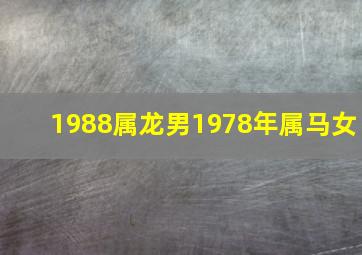 1988属龙男1978年属马女