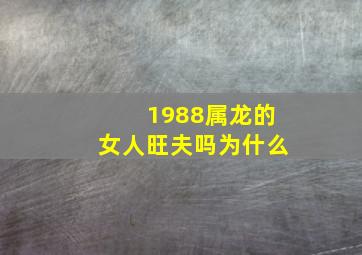 1988属龙的女人旺夫吗为什么