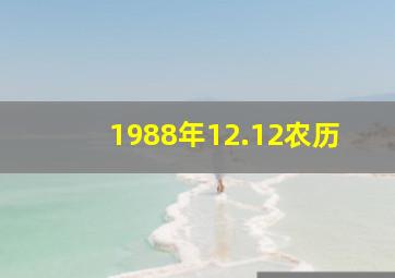 1988年12.12农历