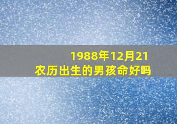 1988年12月21农历出生的男孩命好吗